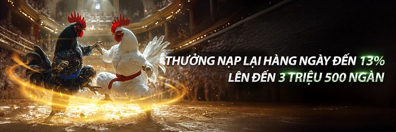 Sân chơi đá gà trực tuyến nbet88